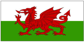Wales Flag Printables