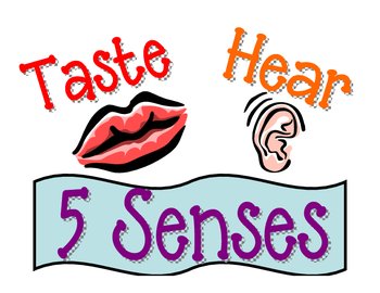 5 Senses - ClipArt Best