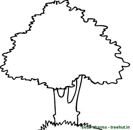Trees Coloring Pages and Clipart
