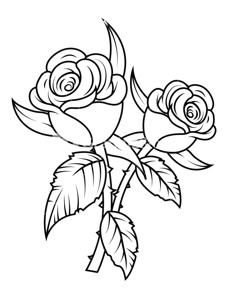 661 views Red rose clipart red rose clip art 9 leaves and vines - Cliparting.com