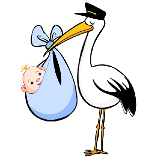 Stork Carrying Baby Boy - Cute Baby And Animals