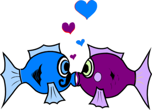 Kissing fish clip art