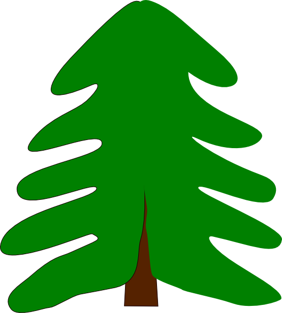 clipart spruce tree - photo #24