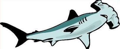 Free Shark Clipart