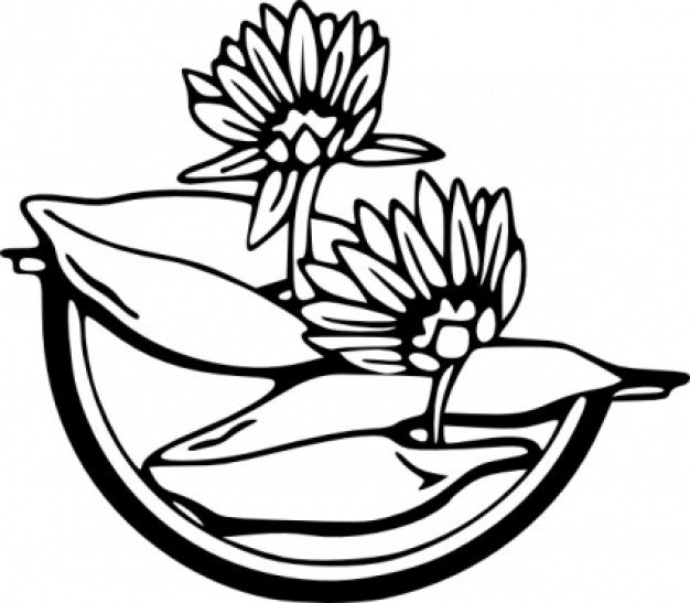 762 views Water Lily clip art | Download free Vector