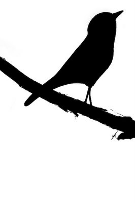 Bird Silhouette On Branch Hd Desktop Wallpaper High Definition ...