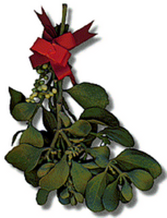 Mistletoe - Tradition, History and Pictures of New Year and ...