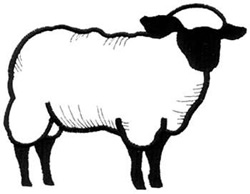 Outline Sheep - Quoteko.