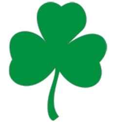 No St.Patrick's Day Without The Irish Shamrock !