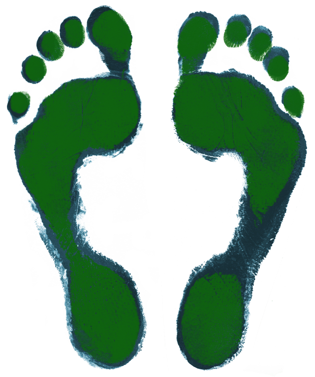 Footprint Pictures 96