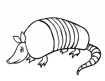 Armadillo Coloring Page