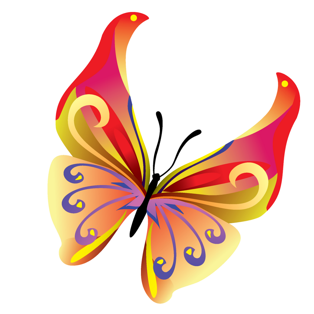 14 Colours butterfly vector Free Vector / 4Vector