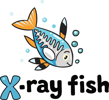 X Ray Fish Clip Art, Vector Images & Illustrations