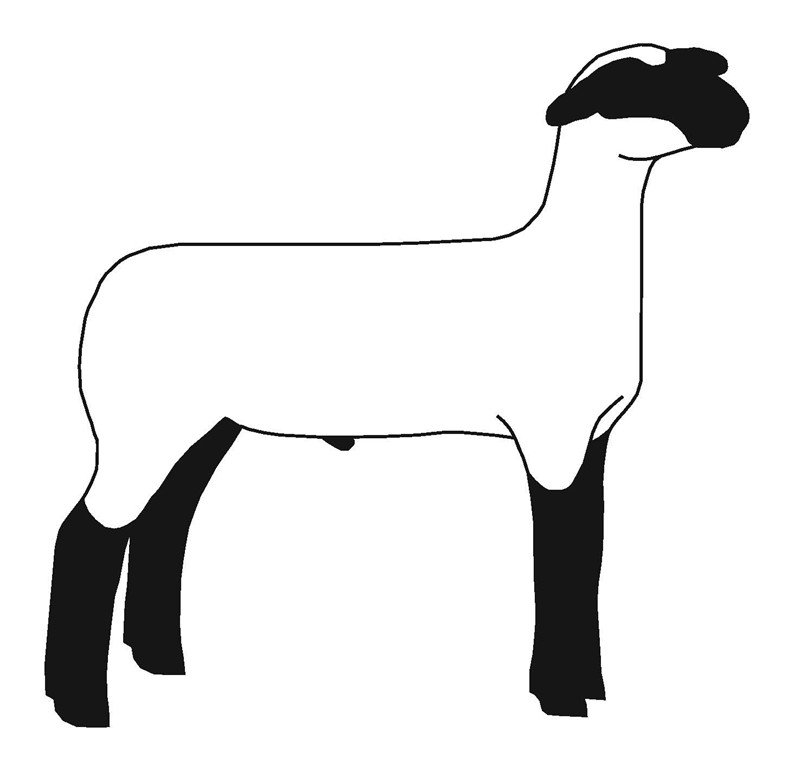 Lamb silhouette clipart black and white