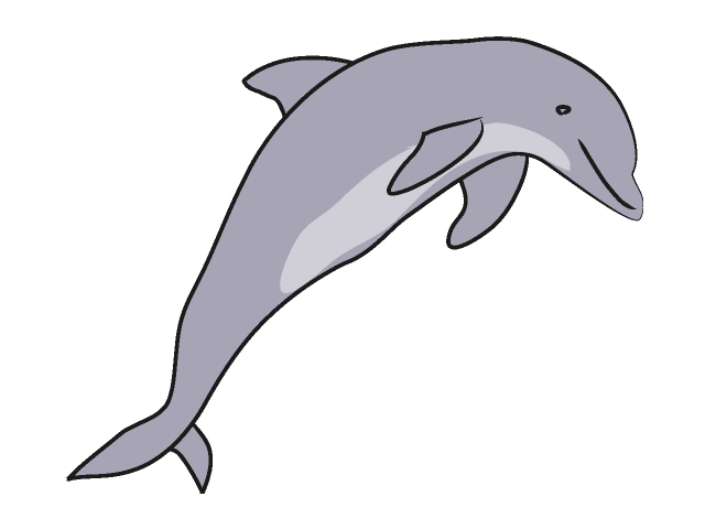 Free dolphin clip art