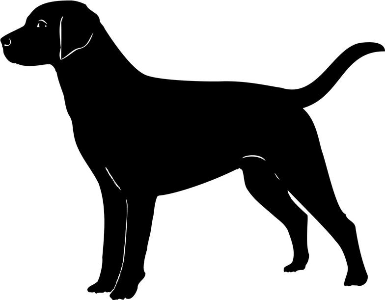 Old yellow lab dog clipart