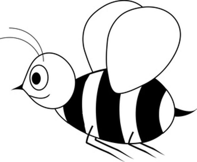 Bee black and white clipart