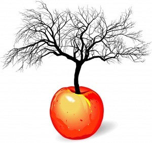 Realistic Apple Tree Drawing - Free Clipart Images
