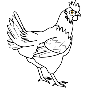 Chicken black and white clipart