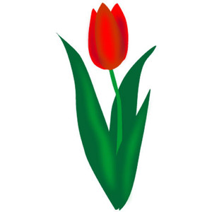 Clip art tulip clipart image #38832