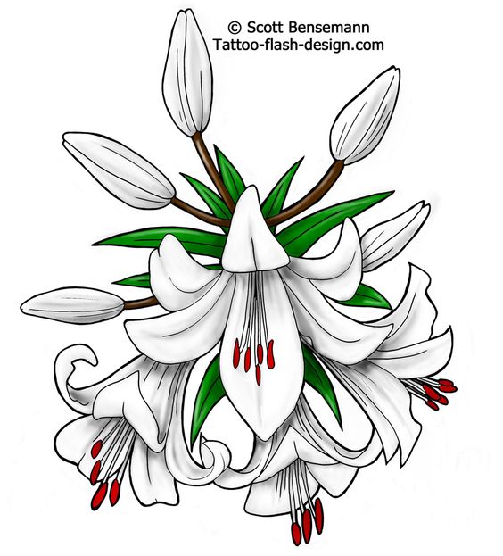 Lilies, Lily flower tattoos and Lilies flowers