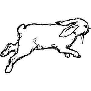 Black And White Rabbit Clipart Lack Rabbits For - Quoteko.
