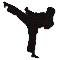 Augusta, GA - Official Website - Karate
