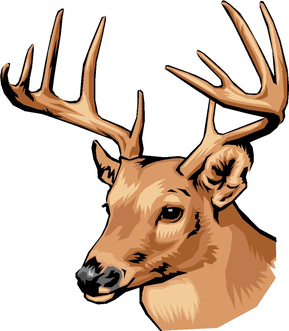 free clip art deer head - photo #11