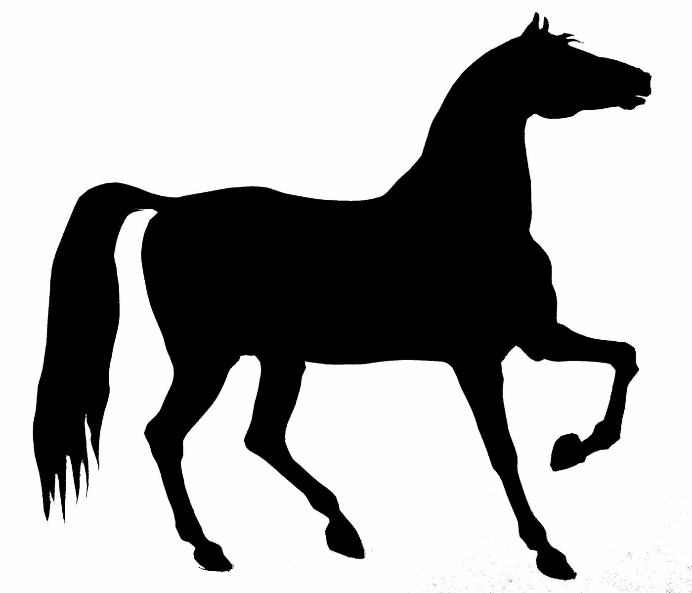 Horse Silhouette Stencil Hd