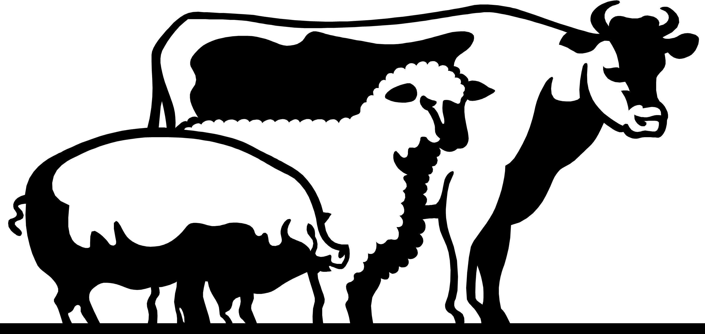 4-h Livestock Of Clipart