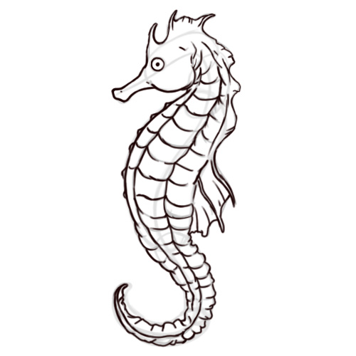 Easy Seahorse Drawing - ClipArt Best