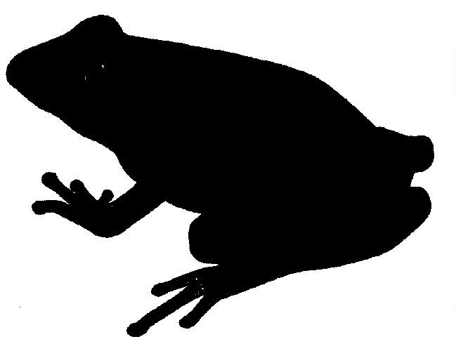 Clipart panda silhouette frog