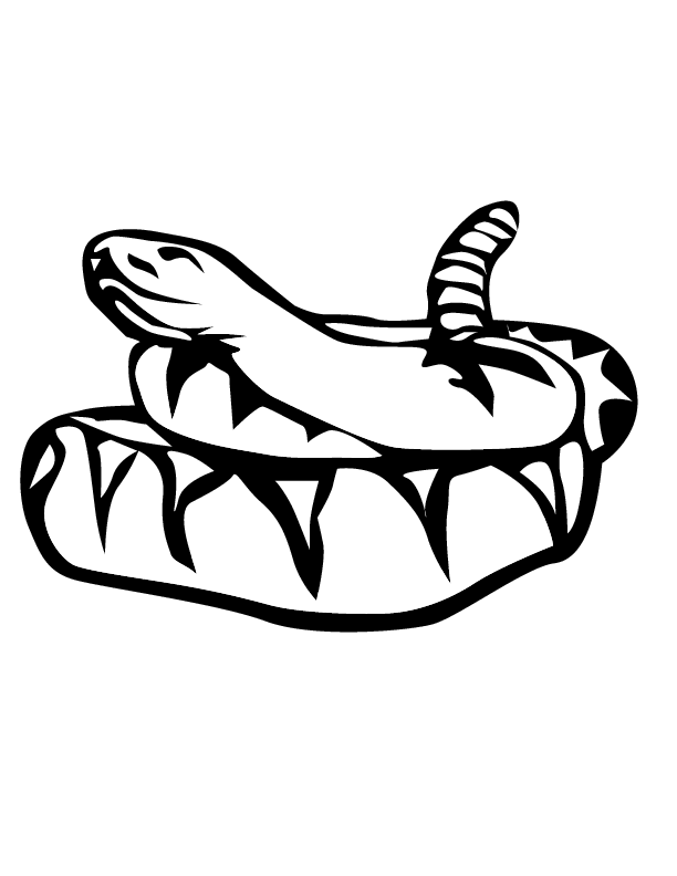 Rattlesnakes Drawings ClipArt Best
