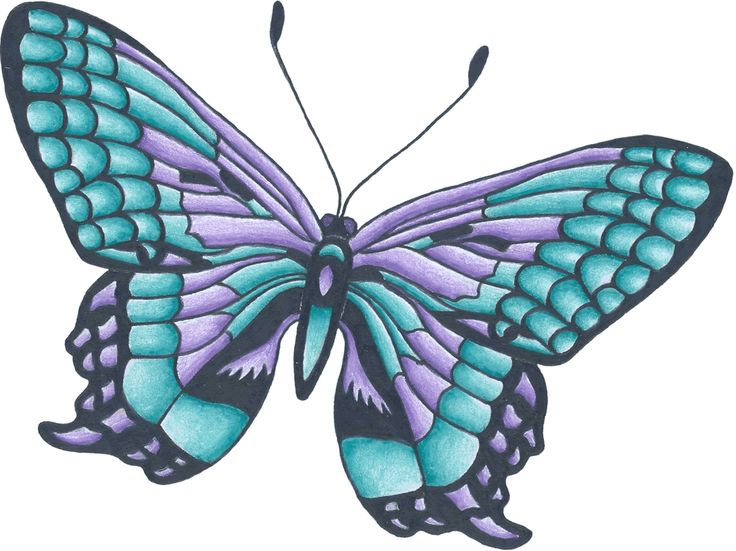 Cool Butterfly Drawings - ClipArt Best