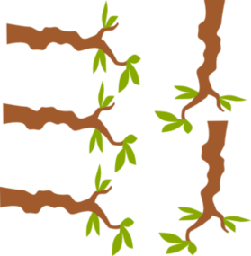Tree Branch Png Clipart - Free to use Clip Art Resource