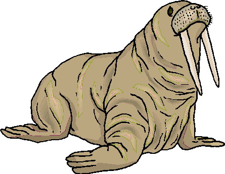 Walrus Clip Art Free - Free Clipart Images