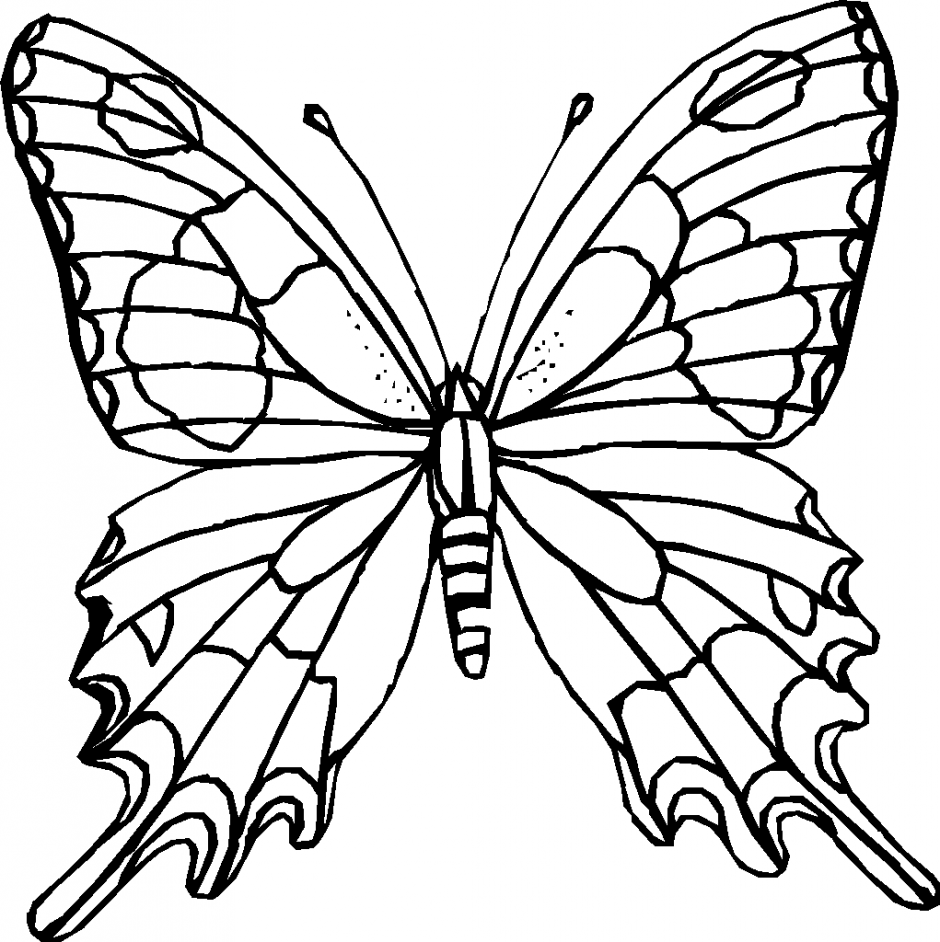 Monarch Butterfly Outline