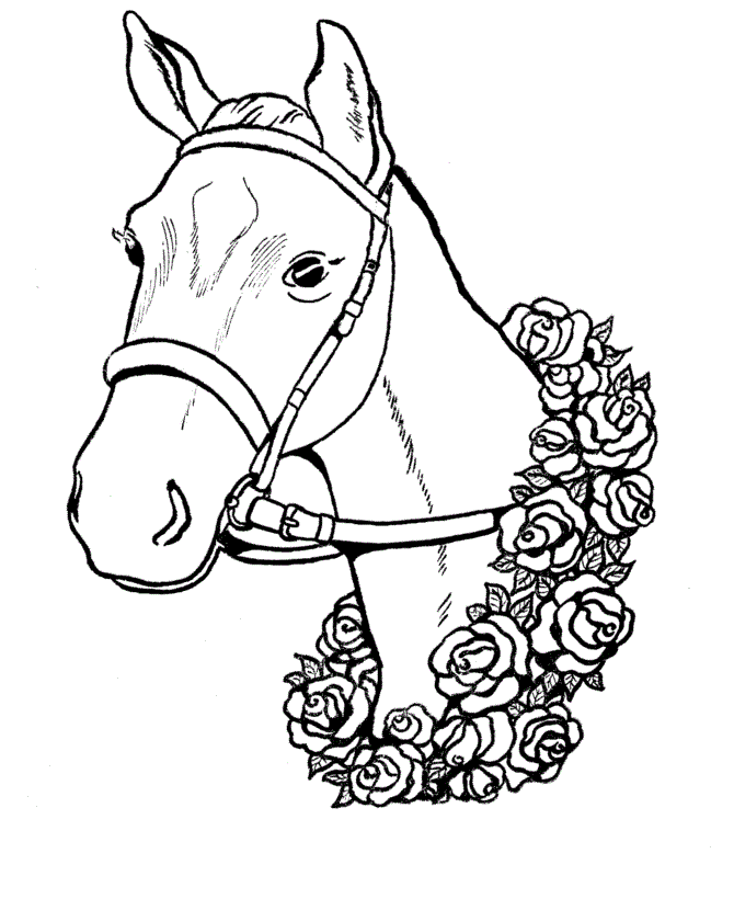 Horse Head Coloring Pages - AZ Coloring Pages