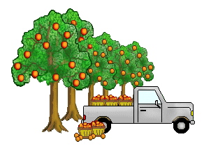 Clip Art Fruit Orchard Clipart