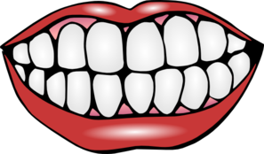 Teeth Outline - ClipArt Best