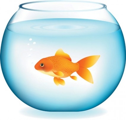 Gold Fish Bowl Clipart