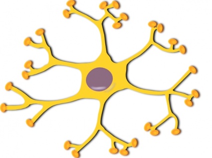 Diagram of Neuron Cell Vector - Download 494 Vectors (Page 1)
