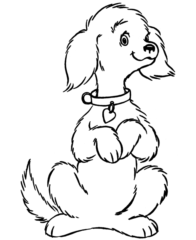 1000+ images about Dog Coloring Pages