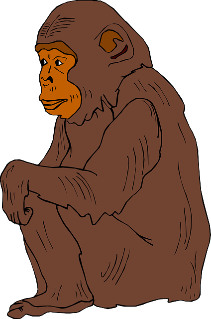 Free pictures CHIMP - 25 images found