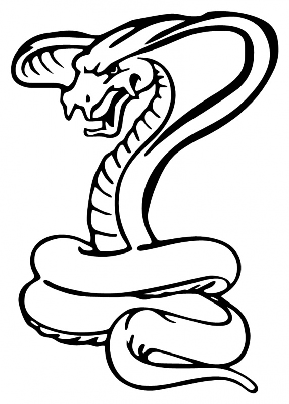 Cobra Snake Logo Clipart - Free to use Clip Art Resource