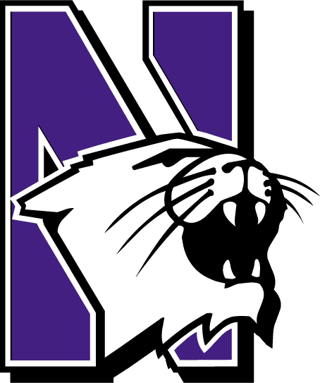 Northwestern Wildcats Primary Logo - NCAA Division I (n-r) (NCAA ...