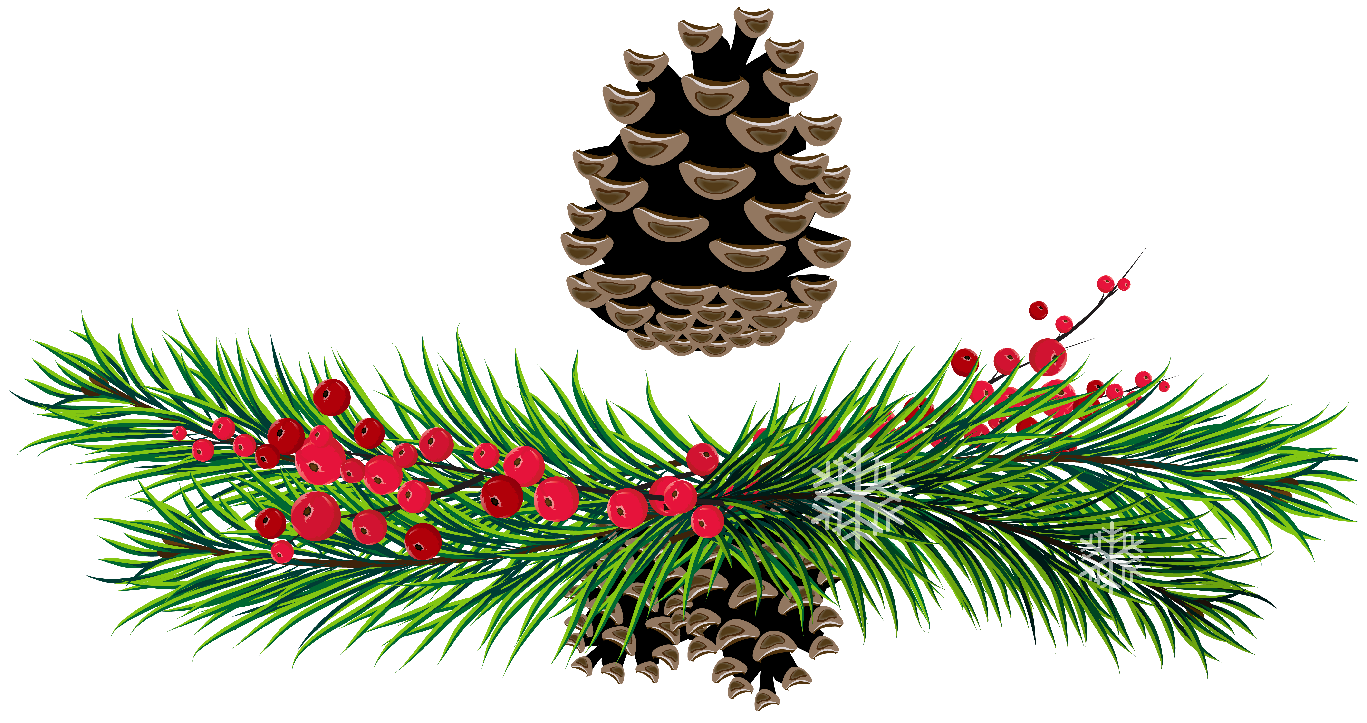 pine branches and pine cones png picture clipart best pine branches and pine cones png picture clipart best