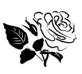 Black And White Pictures Of Roses