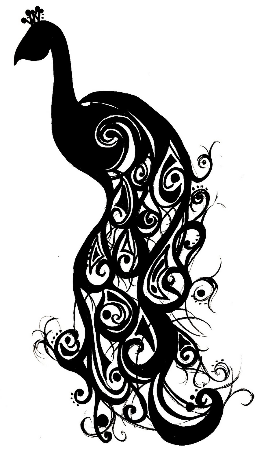 free black and white peacock clipart - photo #28