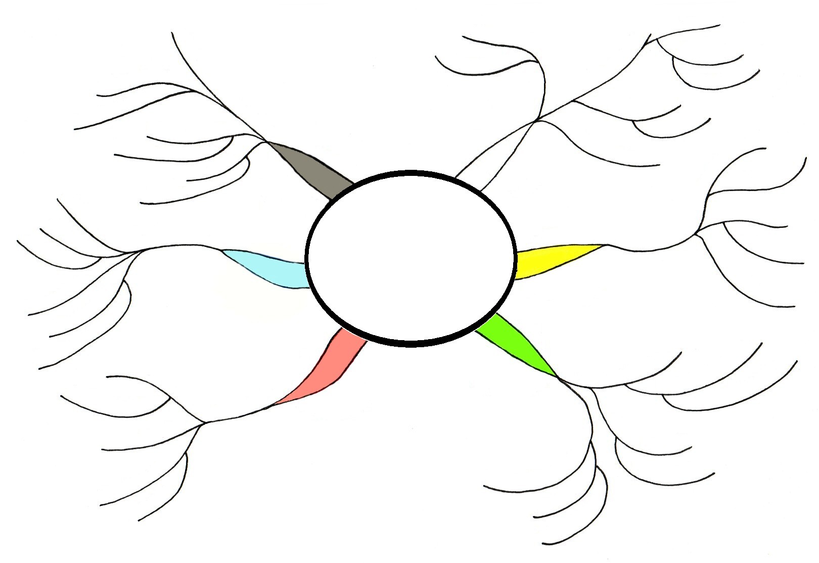 Free Blank Printable Mind Mapping Templates